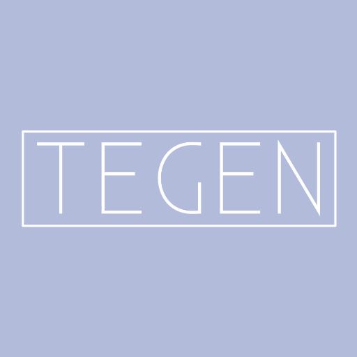 Tegen Accessories logo