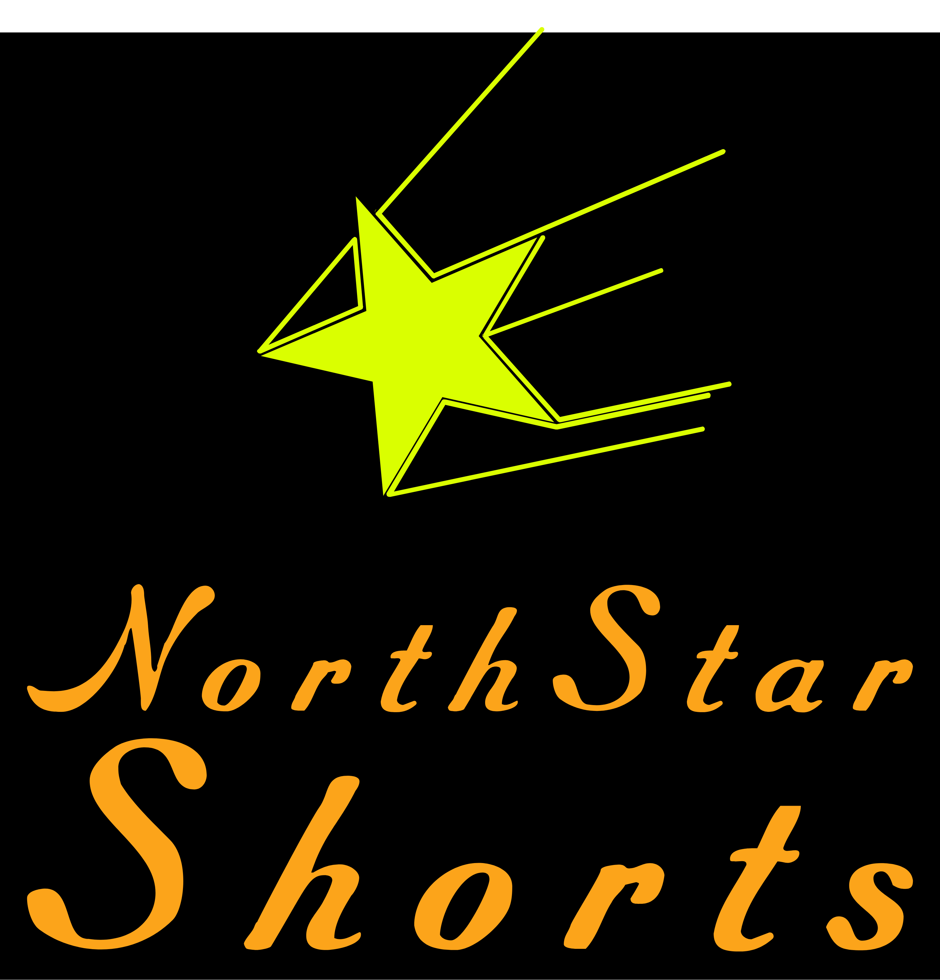 NorthStar Shorts logo