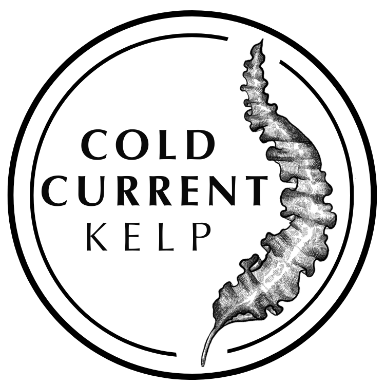 Cold Current Kelp logo