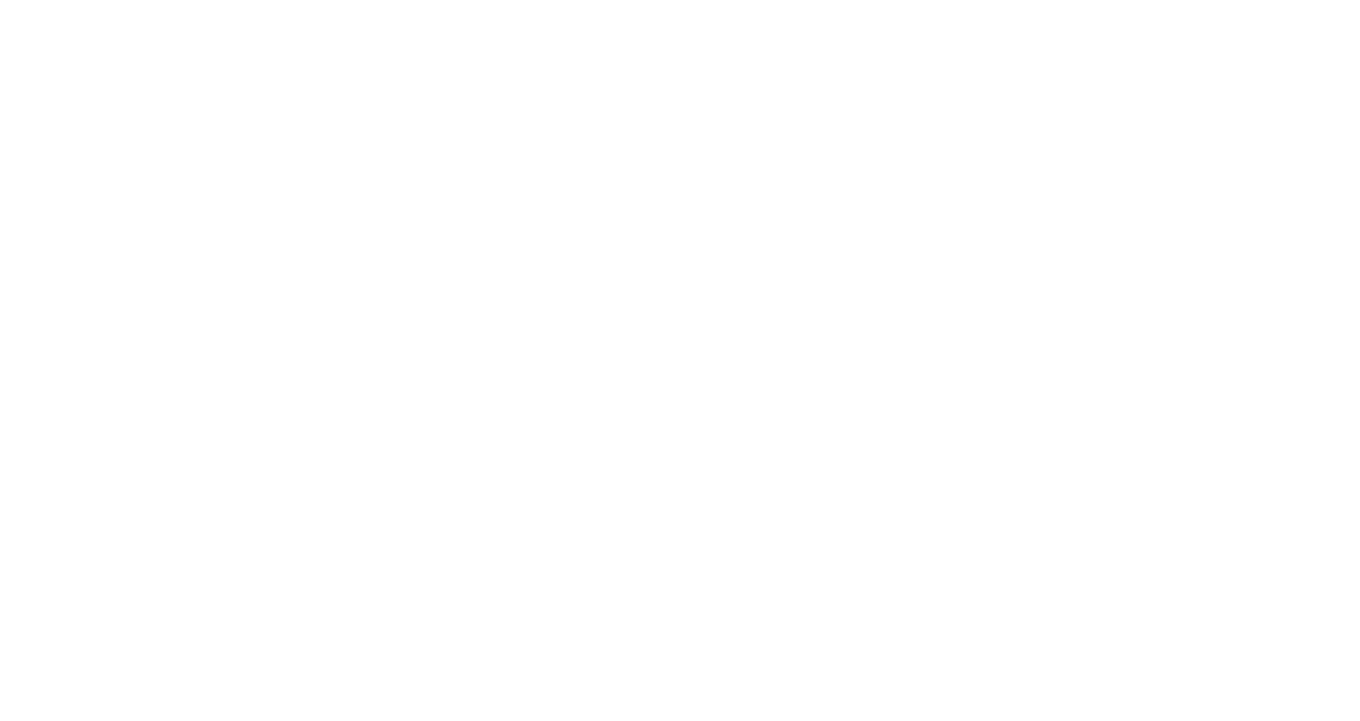 Visorder Streetwear logo