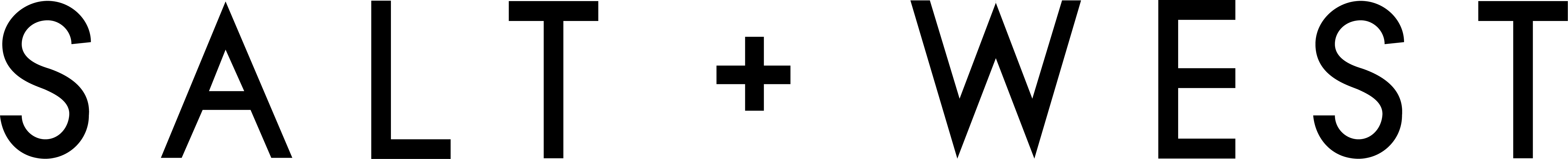 SALT + WEST logo