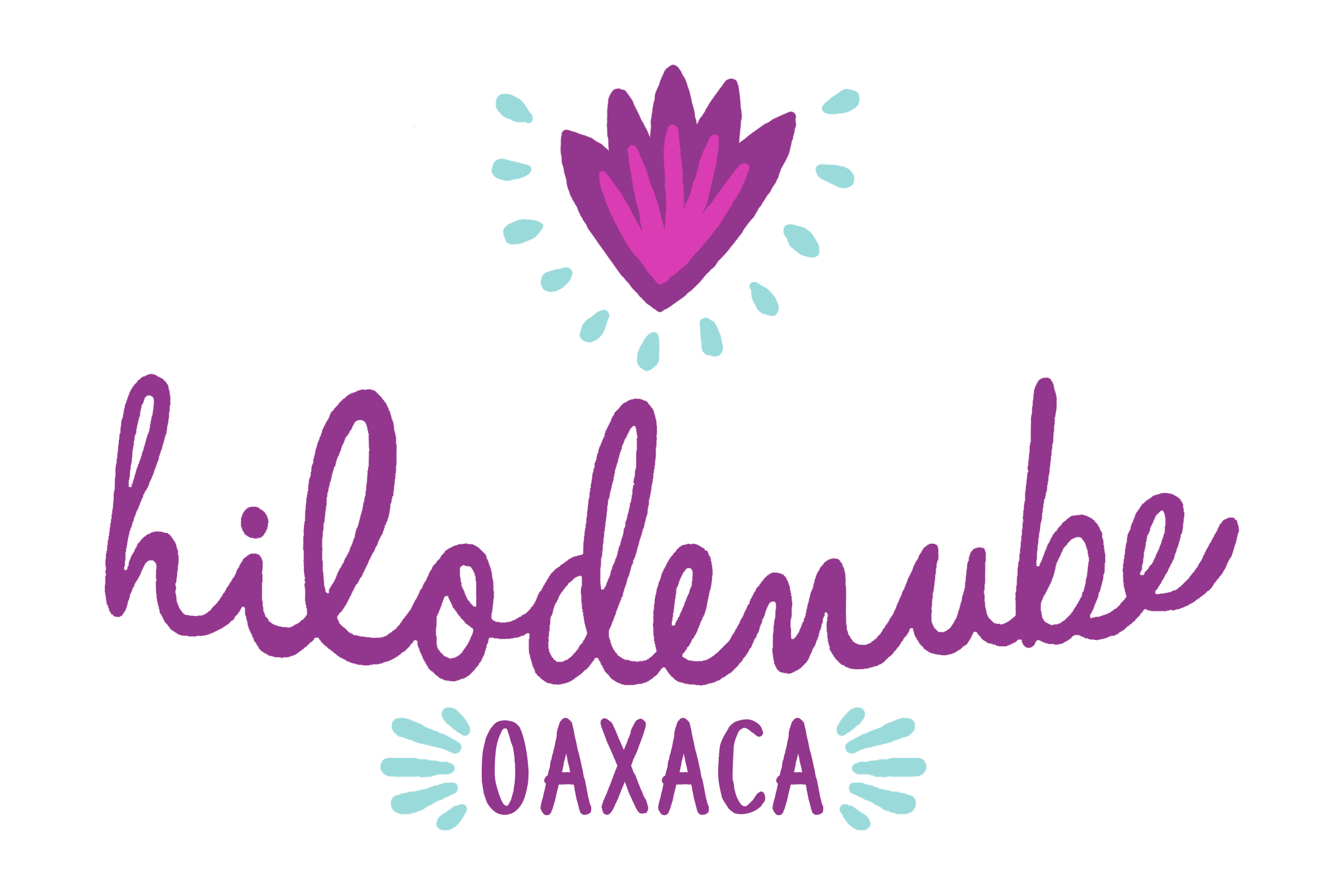 Hilo de Nube Oaxaca logo