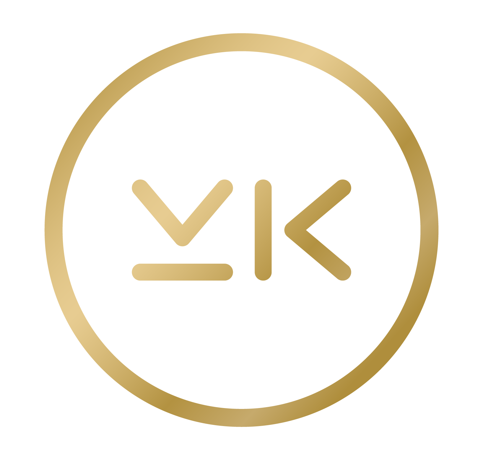 VK Energy Bar logo