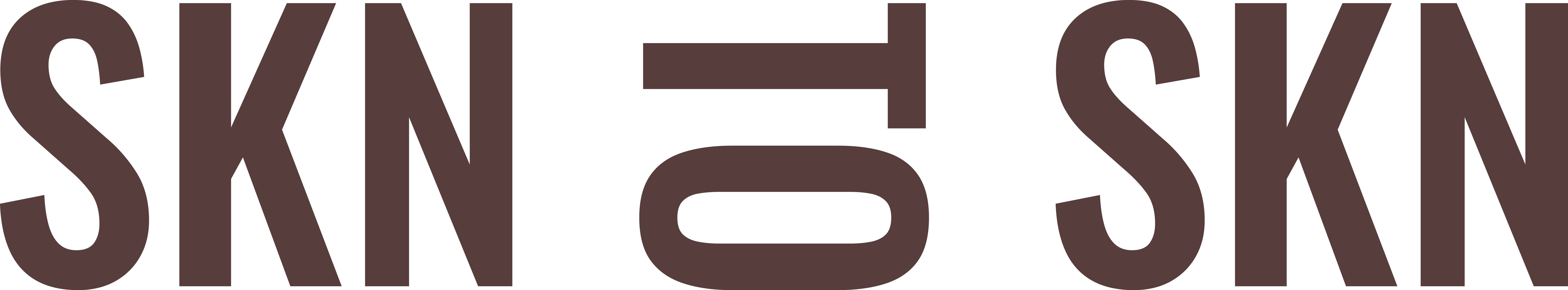 SKN TO SKN logo