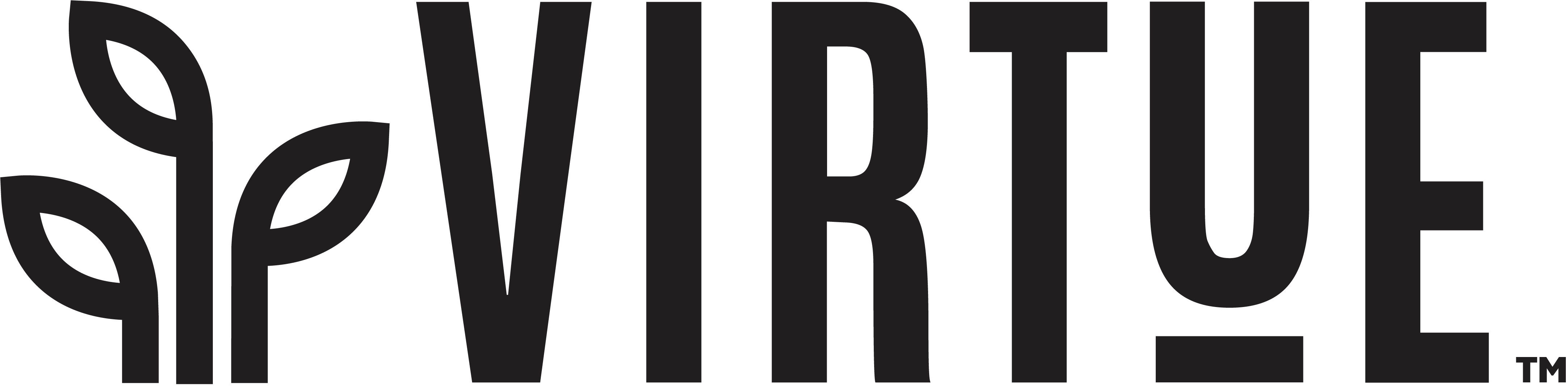 Virtue Foods Inc. logo