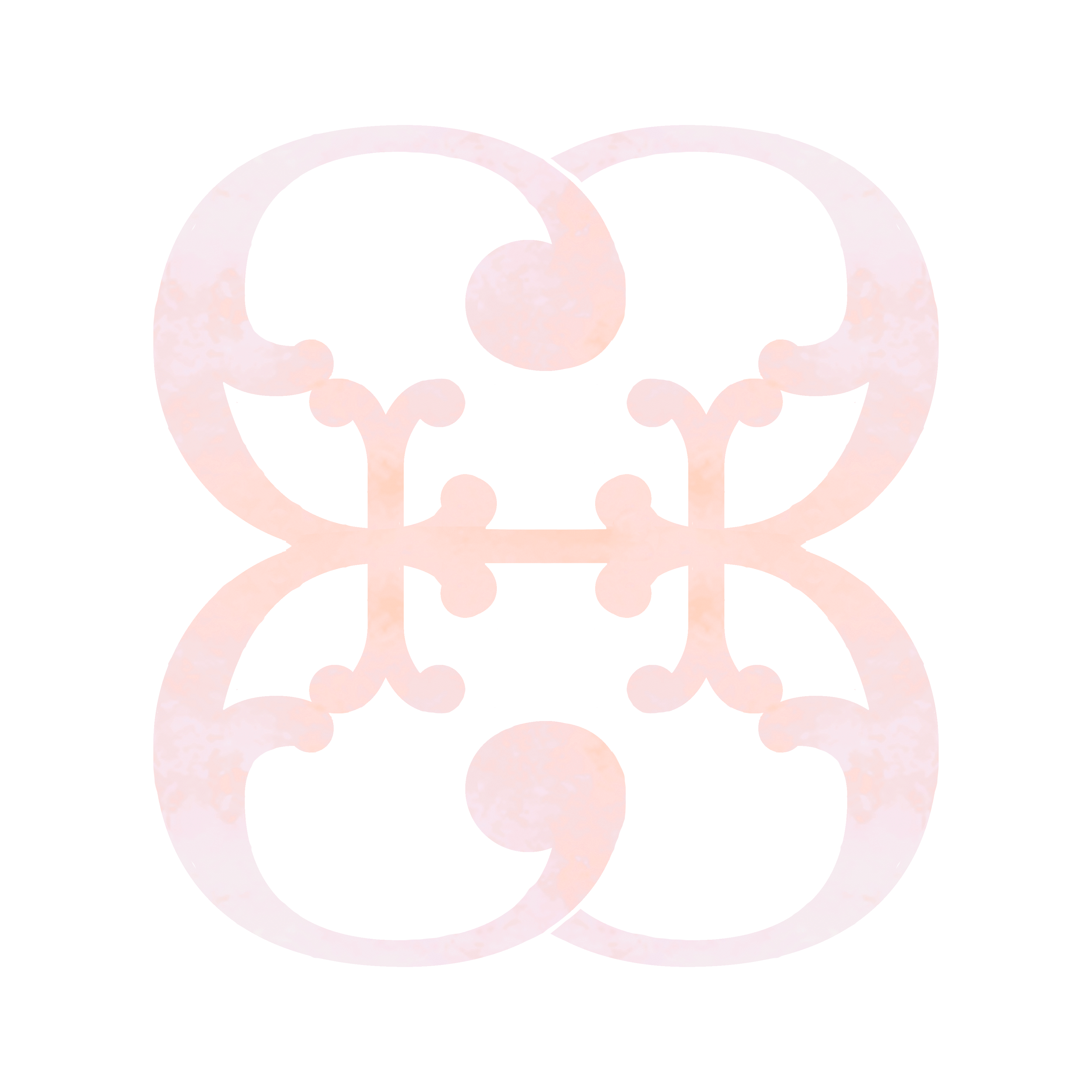 Blush Boutique & Home logo
