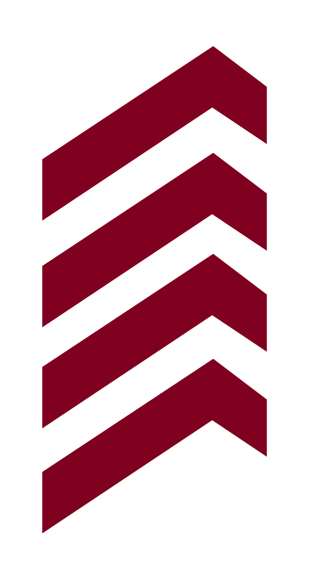 Brickam Solutions logo