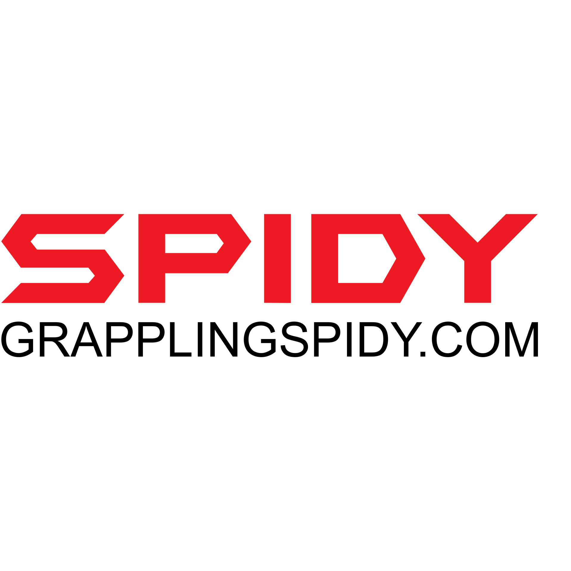Spidy logo