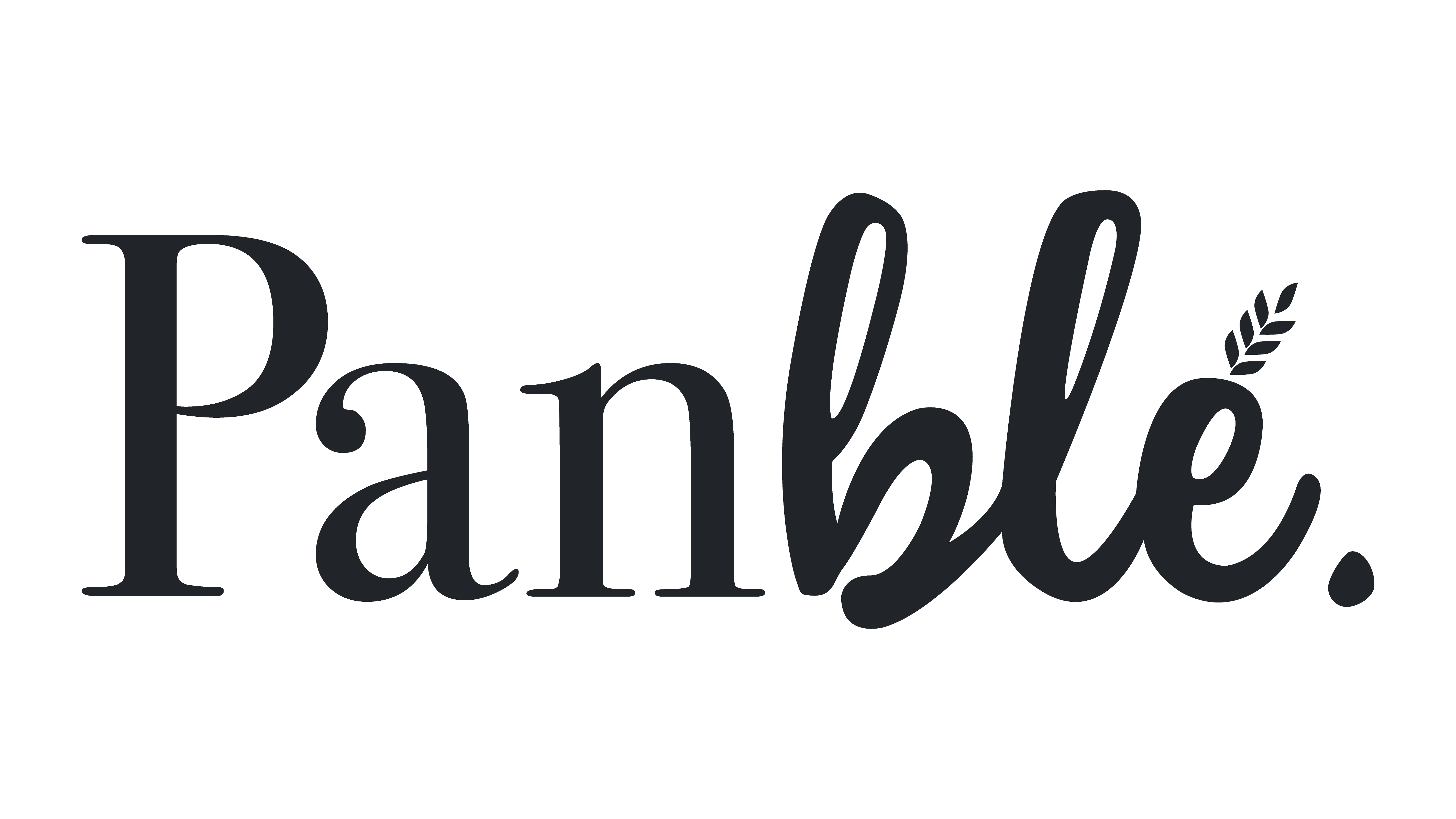 Maiz Pinto LLC. logo