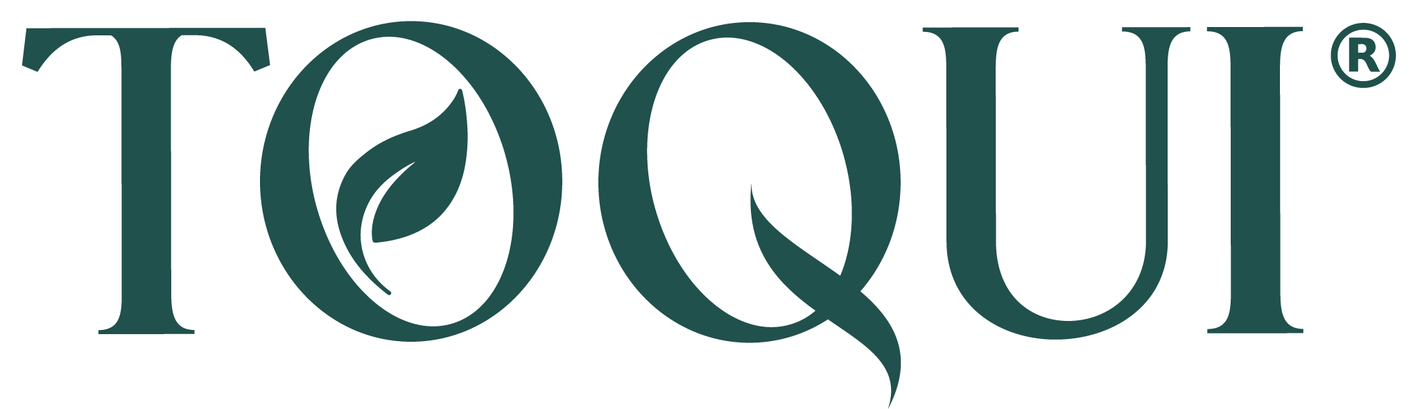 Toqui Energy logo